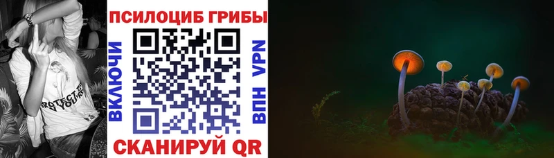 купить закладку  Кириши  сайты даркнета состав  Галлюциногенные грибы Magic Shrooms 